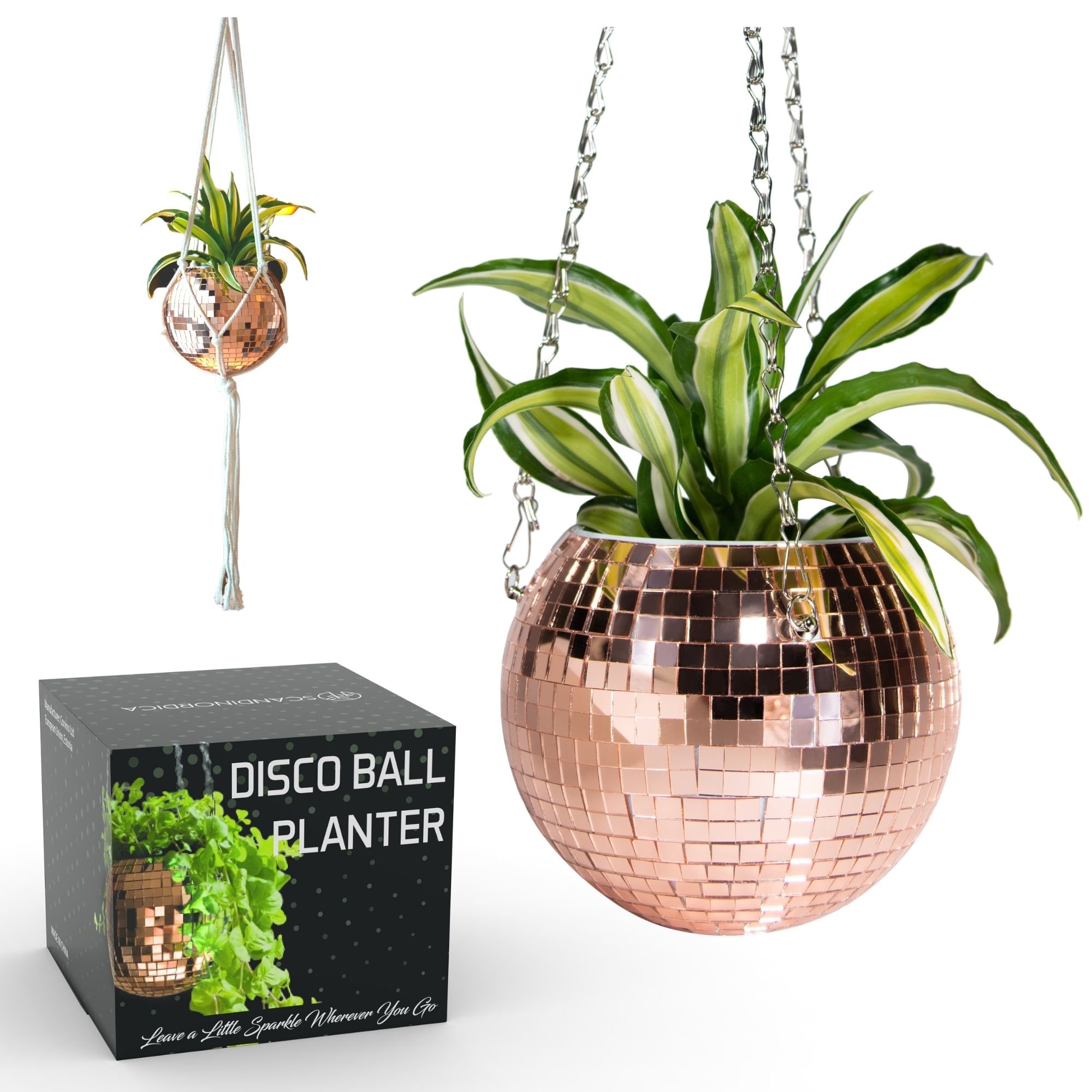 Rose gold plant pot online