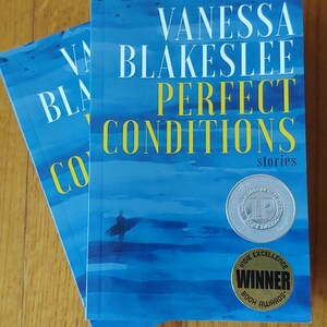 Perfect Conditions: stories by Vanessa Blakeslee