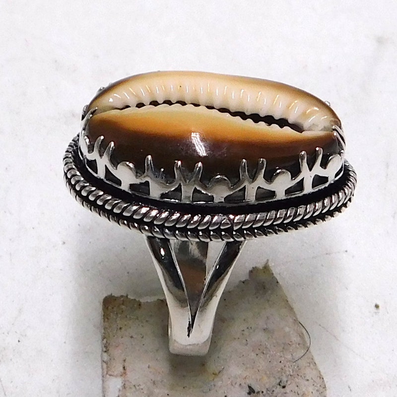 Natural Sea Shells - Etsy