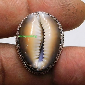 Op de afbeelding: Een zilveren ring met een kauri schelp in het midden. De schelp is lichtbruin van kleur met een wit interieur. De ring heeft een decoratieve rand.