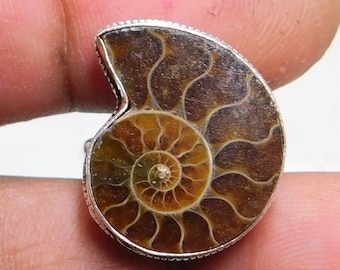Ammonite Fossil Sterling Silver Ring: Natural Statement Jewelry