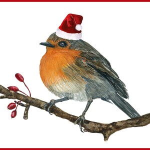 Robin in a Santa Hat Christmas/Holiday Cards with envelopes