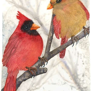 Winter Lovebirds