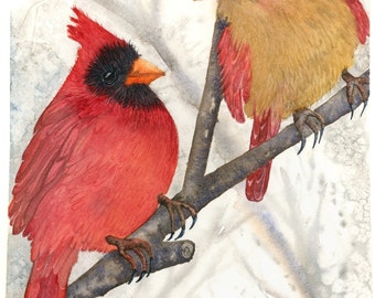 Winter Lovebirds