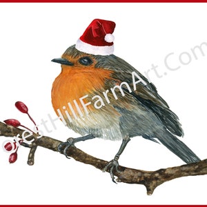 Robin in a Santa Hat 5 Cards with envelopes