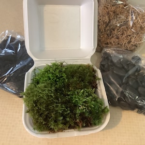 May include: A white polystyrene container filled with vibrant green moss, accompanied by three clear plastic bags containing dark soil, light brown dried sphagnum moss, and smooth black river stones for terrarium or garden projects.
