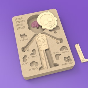 Anatomiespel voor kinderen voor LASER CUT, maak je eigen speelgoed met dit E-bestand, DXF-bestand uniek ontwerp