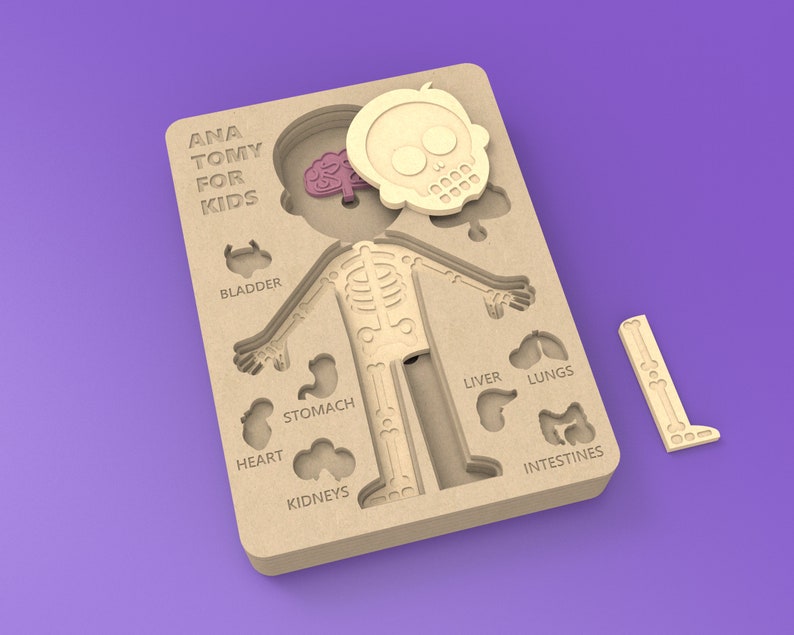 Anatomy Game for Kids for LASER CUT Create Your Own Toy With Etsy