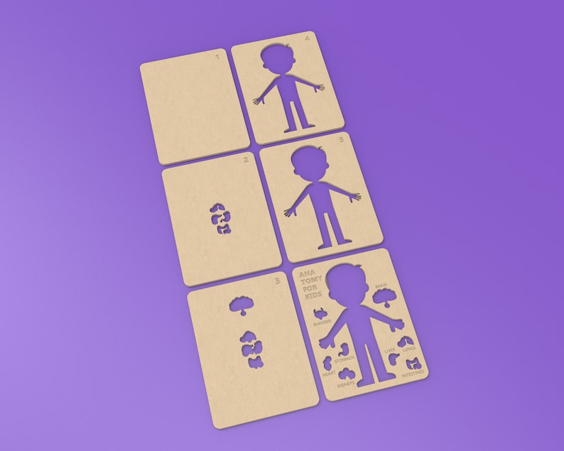 Anatomy Game for Kids for LASER CUT Create Your Own Toy With Etsy