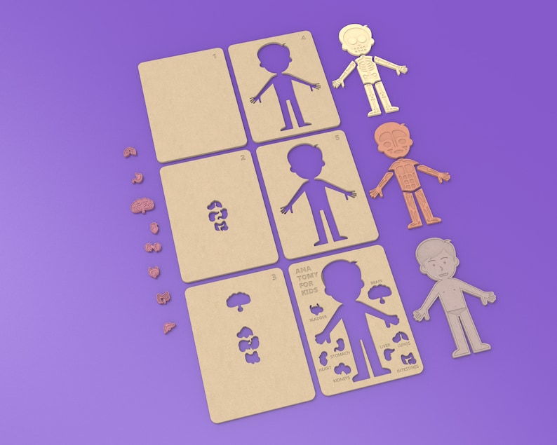 Anatomy Game for Kids for LASER CUT Create Your Own Toy With Etsy