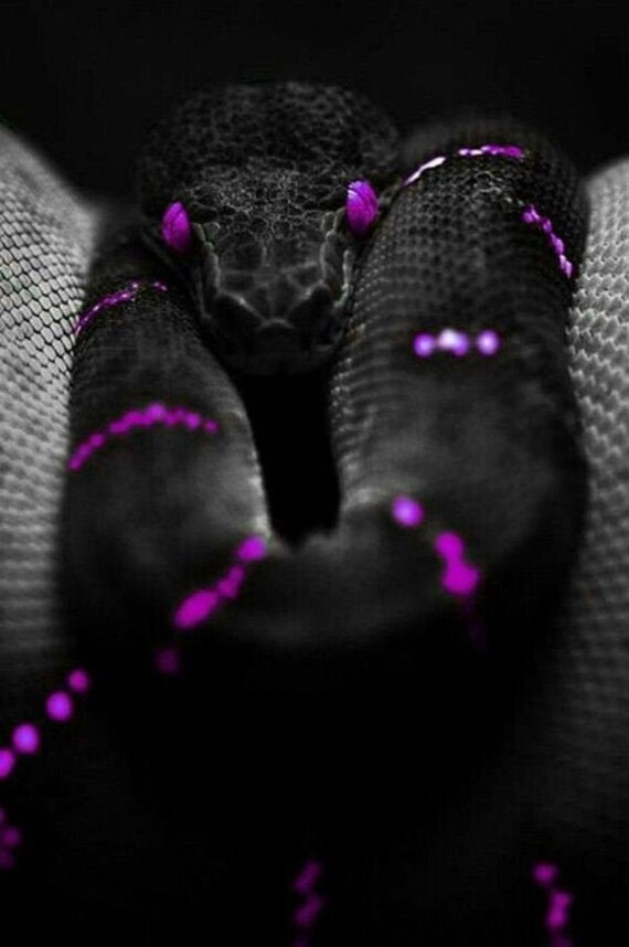 Activation Kundalini Niveau 3 L'unification Par La Déesse Lilith | à Distance