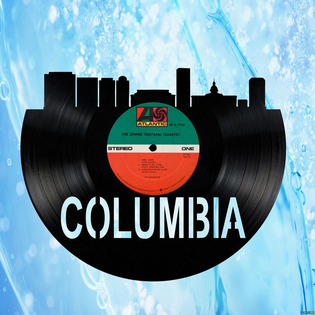 Columbia South Carolina Skyline Vinyl Record Art Cut From a Actual