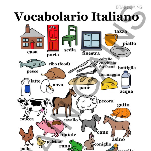 Italian Vocabulary Vocabolario Italiano Kids Language Worksheet PDF Image Digital Download Printable