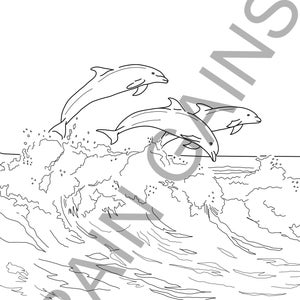 Delfin Malseite Digital Download Printable (Tierreich)
