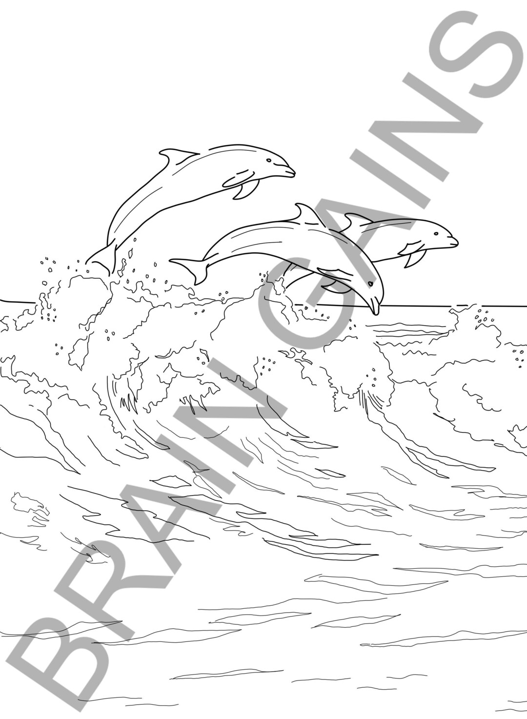 Dolphin Coloring Page Digital Download Printable (animal Kingdom) - Etsy