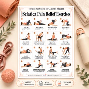 Exercices de soulagement de la douleur sciatique, routine d'étirement du bas du dos, tableau de mobilité progressive du nerf sciatique, kinésithérapie, étirements des hanches et du muscle piriforme