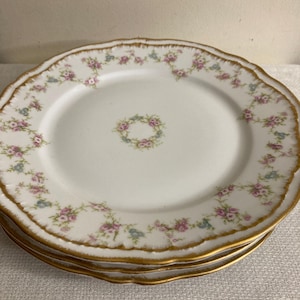 May include: A stack of white porcelain plates with a scalloped edge and gold trim. The plates are decorated with a floral pattern of pink and blue flowers. A ring of flowers is in the center of the plate.