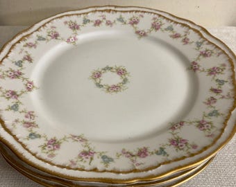 Peut inclure: Une pile d'assiettes en porcelaine blanche avec un bord festonné et une bordure dorée. Les assiettes sont décorées d'un motif floral de fleurs roses et bleues. Un anneau de fleurs est au centre de l'assiette.