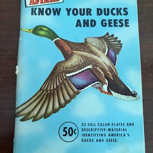 Könnte beinhalten: Eine alte Sports Afield Broschüre mit dem Titel Know Your Ducks and Geese mit hellblauem Einband. Sie zeigt eine detaillierte Abbildung einer fliegenden Stockente, den Text 50 cents und eine Beschreibung von 32 Farbtafeln und Material.