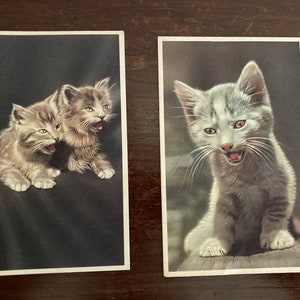 Vintage Hand colorierte Katzen Postkarten von Alfred Mainzel späte 1940 - 1955