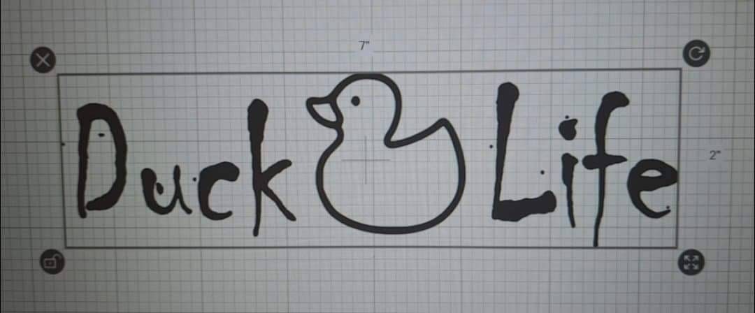 Ducklife 2