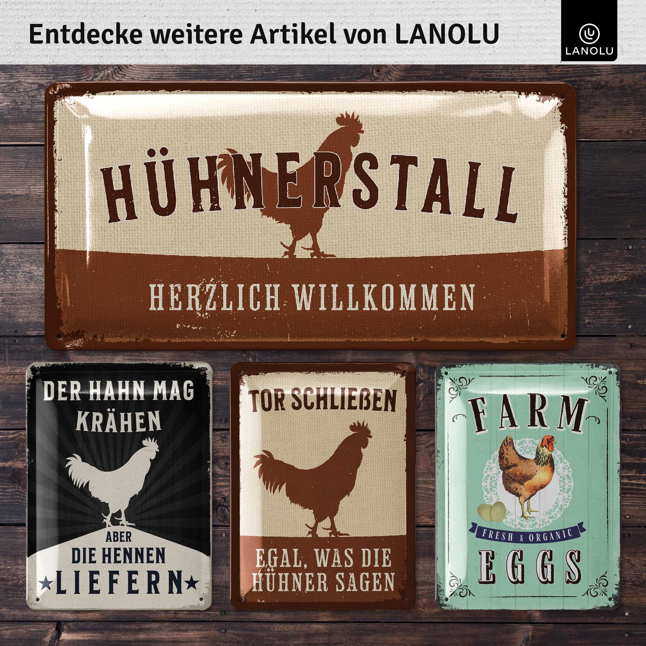 Blechschild „Zu Hause Ist, Wo Meine Hühner Sind“ – 20x30 Cm, Vintage Design, Metall
