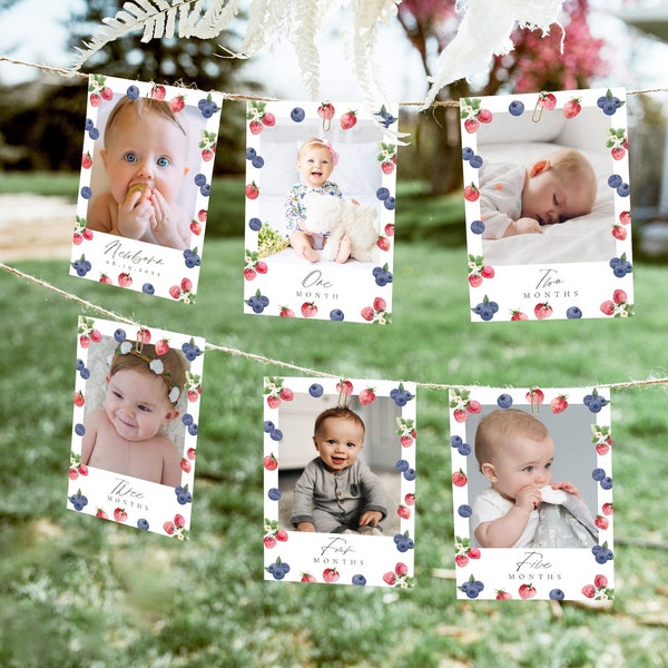 Mixed Berry First Monthly Milestone Photo Cards  Strawberry Blueberry Birthday Banner Birthday Decor 672