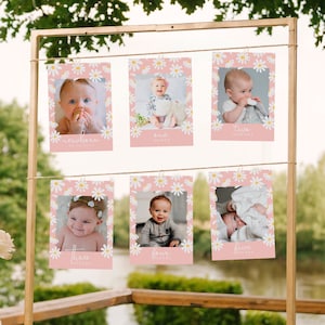 Editable Daisy Monthly Milestone Photo Cards   Birthday Banner Birthday Decor High Chair Banner Printable Corjl Template 403