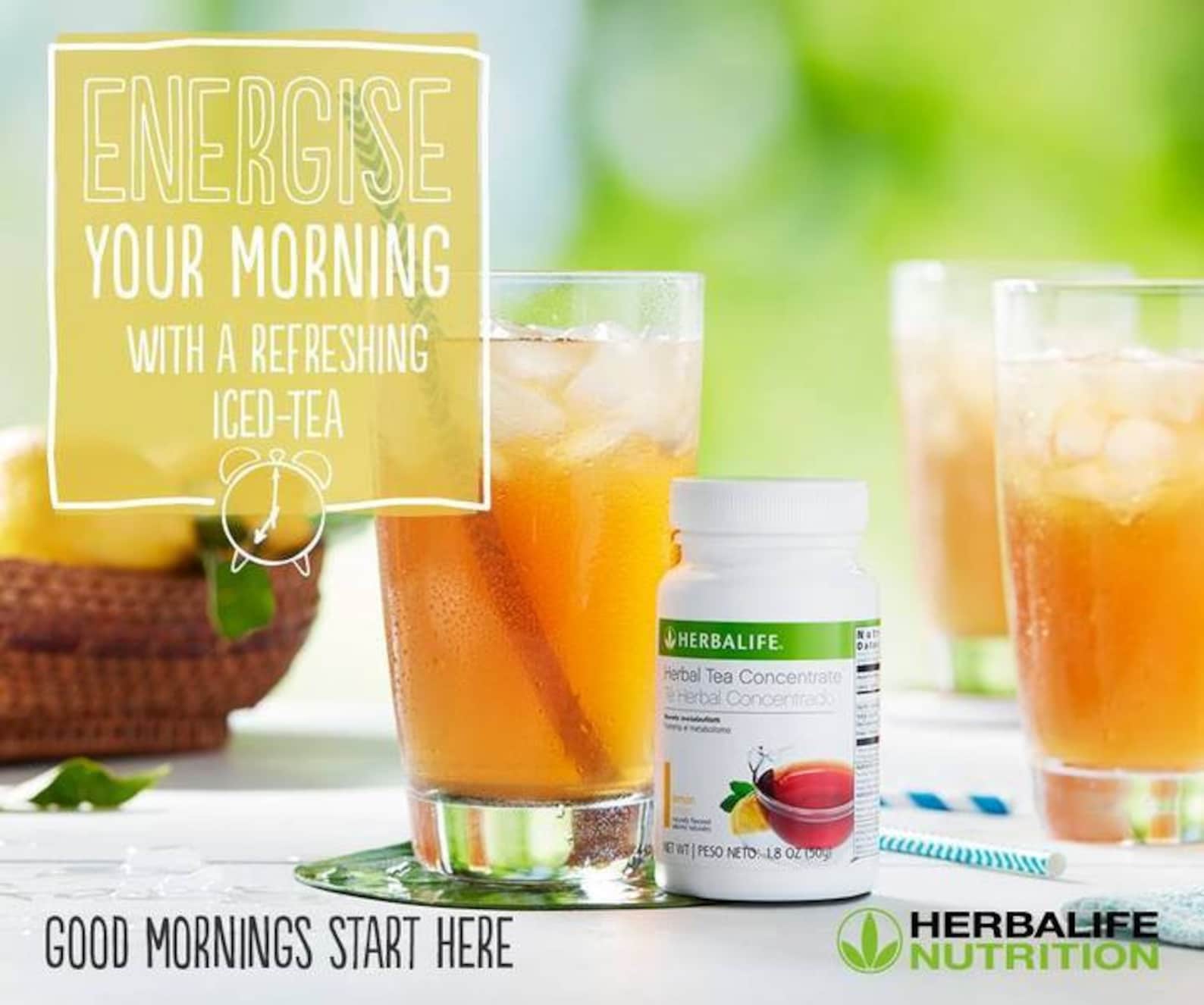 Instant Herbal Beverage Herbalife Etsy