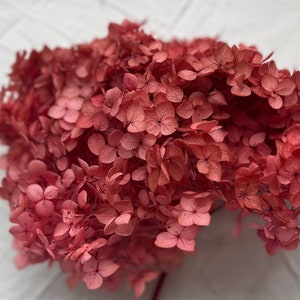 Terracotta Preserved Hydrangea Petals, Dried Flowers, Petals, Wax Seal Essentials, Wax Seal Supplies, Resin Art, Craft Supplies, Candle Art