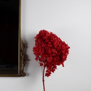 May include: A white ceramic vase with a wavy, textured design holds a single stem of red dried flowers.