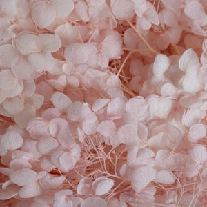 Soft Pink Preserved Hydrangea Petals, Dried Flowers, Petals, Wax Seal Essentials, Wax Seal Supplies, Resin Art, Craft Supplies, Candle Art