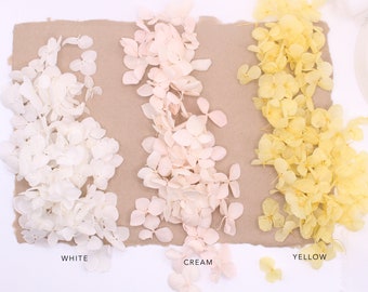 White & Yellow Hydrangea Petals, Dried Flowers, Petal Pots, Wax Seal Essentials, Wax Seal Supplies, Resin Art, Craft Supplies