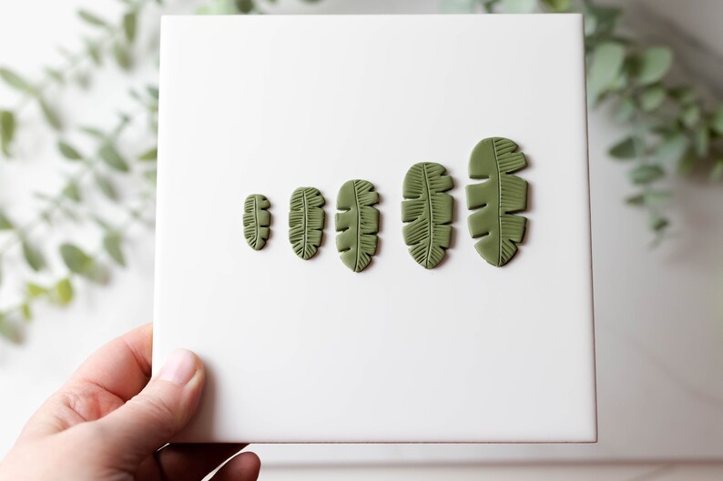 May include: Five green clay leaf shapes of varying sizes, arranged in a row on a white surface.
