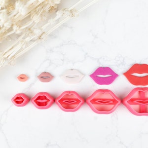 Peut inclure: Ensemble de neuf emporte-pièces en plastique en forme de lèvres de différentes tailles, en rose et rouge.
