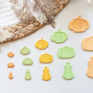 May include: A collection of 13 fall-themed pumpkin and gourd shaped cookie cutters in various sizes. The cutters are made of a light orange and green color.