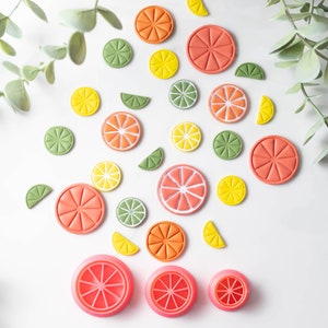 Polymer Clay Cutter, Citrus Clay Cutters, 3D Printed Clay Cutter, Embossing Clay Cutter, Clay Cutter: Citrus Cutter 3 sizes