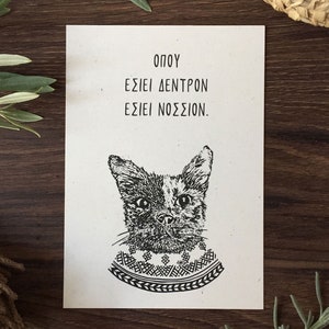 O projeto Provérbios Cipriotas - Impressão de cartão postal de gato (5 peças)