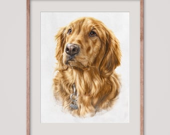 May include: A watercolour painting of a golden retriever dog wearing a brown collar with a silver tag. The dog is looking upwards with a soft, gentle expression.