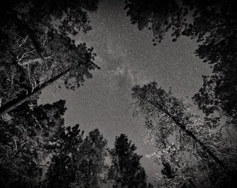 California Stars Photography | Black and White Night Photographs | Astrophotography | Milky Way | Home Decor | Living Room Wall Art