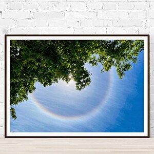 Puede incluir: Fotografía enmarcada de un fenómeno natural. Un halo de arcoíris rodea el sol contra un cielo azul brillante. El follaje verde enmarca la parte superior de la imagen, agregando un elemento natural. La imagen está colocada contra una pared de ladrillos blancos.