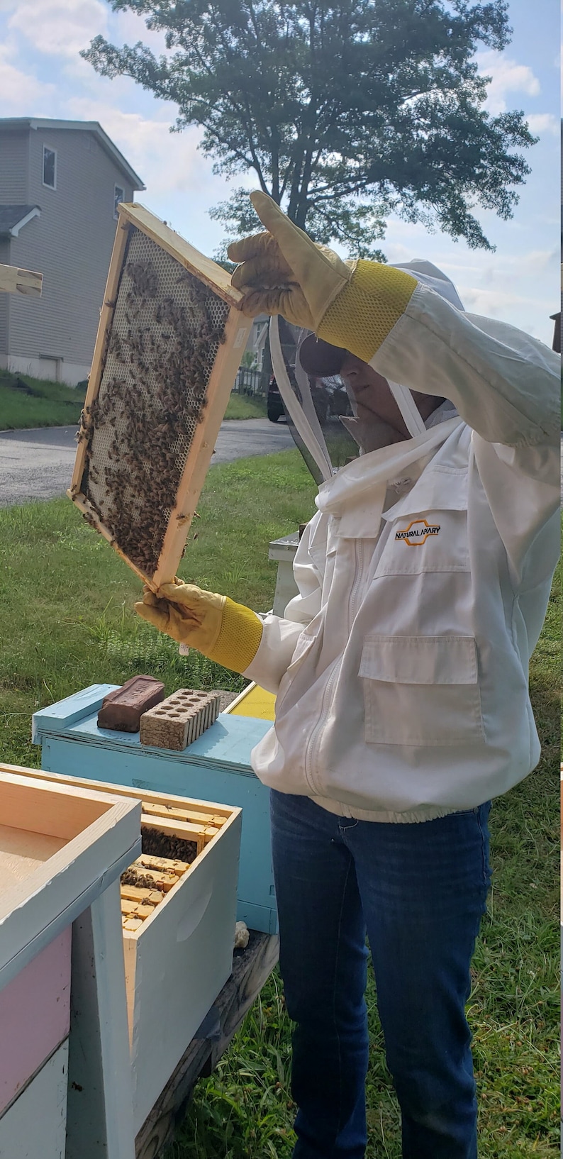 Raw Honey Bee Venom 20 Milligram Etsy