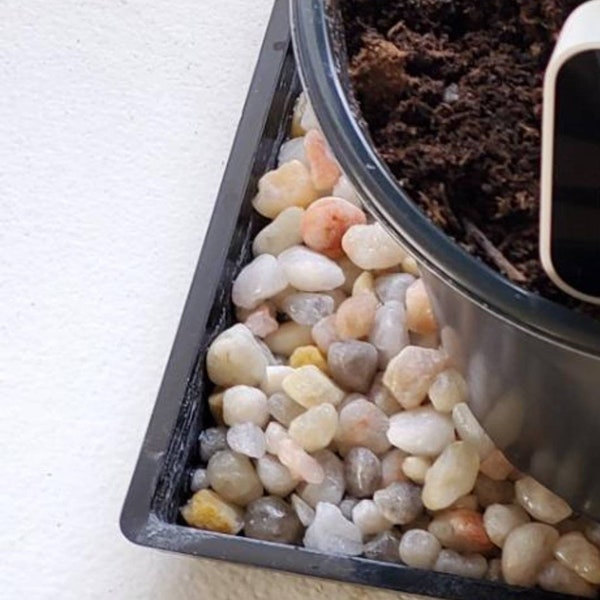 Plant Tray Rectangular - Etsy