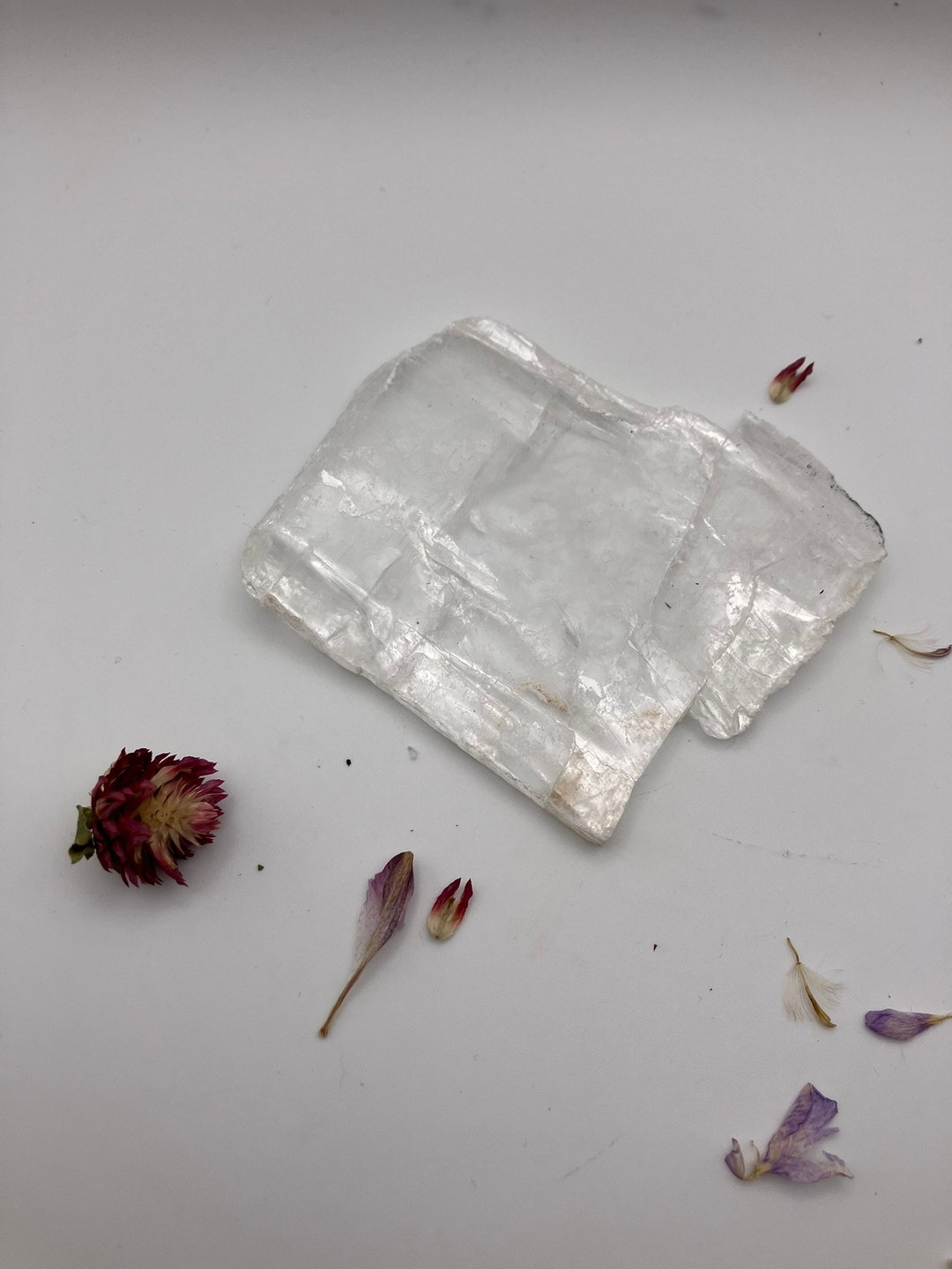 True Selenite Plates / Slices Fishtail Selenite Natural Etsy