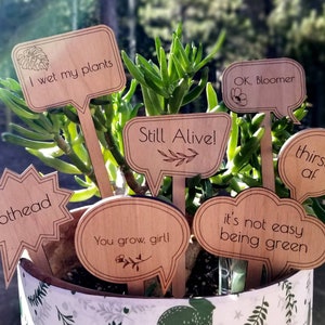 Houseplant Marker | Funny and Cheeky Sayings | House Plant Stakes | Home Decor
