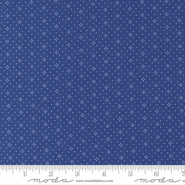 Fruit Cocktail fabric yardage | Sold by the half yard | Eyelet blender in boysenberry / blue | By Fig Tree and Co. for Moda | 20457 42