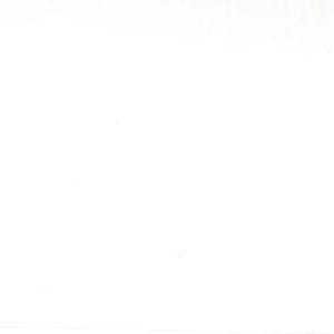 May include: A plain, solid white background with no visible objects, textures, patterns, or text. The entire frame is filled with a uniform, bright white color, providing a completely blank and empty visual space without any discernible features.
