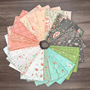 Abloom fat quarter bundle | 22 pieces + optional panel | By Corey Yoder / Coriander Quilts for Moda Fabrics | STORE CUT