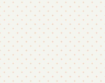 CLEARANCE SALE /Marked down | Wildwood Wander fabric sold by the half yard | Compass | By Katherine Lenius for Riley Blake |C12436-CREAM