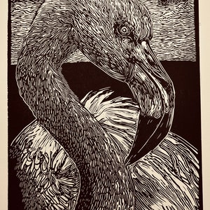 Flamingo